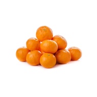 kiat kiat orange dwarf fruit tree seeds