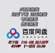 代下載-svip-迅雷-百度網盤-夸克網盤-藍奏-微雲