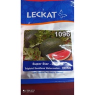 Biji Benih Tembikai Watermelon Seedless Super Star 1096 F1 20 Gm Leckat