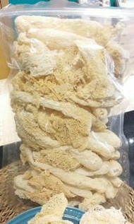 福建 竹笙
