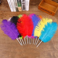 Cross-Border Ostrich Feather Pen Ballpoint Pen Wedding Party Exquisite Gift Gift Pen European Retro 