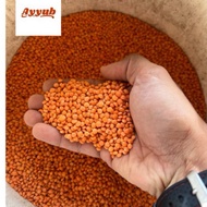 KACANG DHAL MERAH. 100 GRAM. MYSORE MANSOOR DHAL