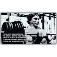 Arnold Schwarzenegger Bodybuilding Motivational Art Silk Poster Print Fitness Inspirational Picture