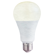 EVERLIGHT 億光 LED 省電燈泡 球泡燈 16W 黃光 1個