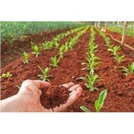 cocopeat 5 liter pure premium quality