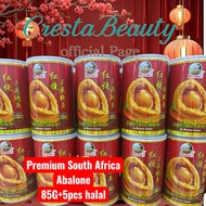 South Africa Abalone 85g+5pcs