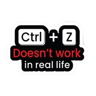 Ctrl Z Doesn't Work in Real Life Vinyl Doff Stickers