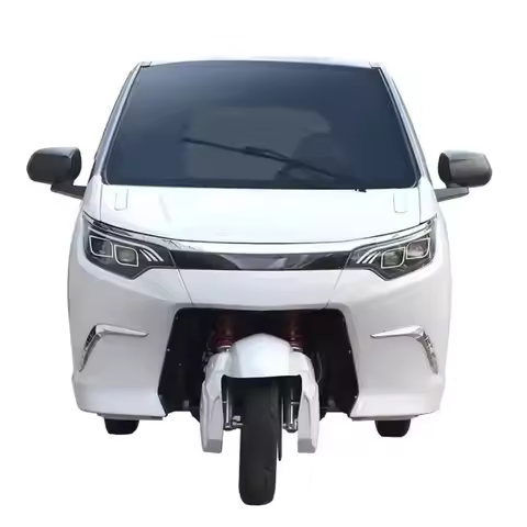 3 Wheel Electric Vehicle Enclosed Tricycle 3000W 60v 80ah E Tricycle