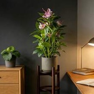 21-40cm Artificial Azalea Plants Fake Rubber Tree Tropical False Palm Leaves Faux Ficus With Flowers