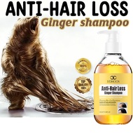 Anti-hair loss ginger shampoo Hair Growth rambut gugur anti dandruff 洗发水 300ml Herbal anti-hair loss