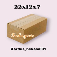 Cardboard 22x12x7