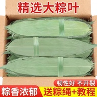 Dumpling Leaves Free Shipping Fresh Large 200 Pieces Authentic Dumpling Leaves Dumpling Leaves Extra