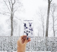 Pimlate Flora 透明 Iphone6/6s 手機殼