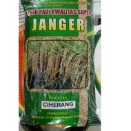 Koleksi Terbaru.. Benih Padi Unggul Ciherang Janger 5kg