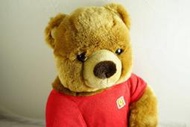 ☆特急新幹線☆法拉利 Ferrari 賽車泰迪熊 F1賽車場FERRARI STORE 絕版正品 熊麻吉 TED