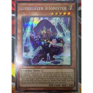 DUAD-AE007 Linkslayer @Ignister SECRET