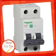 EZ9F34225 Aptomat MCB Schneider 2 Pole 25A Giang Tech Hub