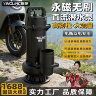 Win Collar Brushless DC Submersible Pump 24V48V60V72V Battery Car Household Water Pump Agricultural 
