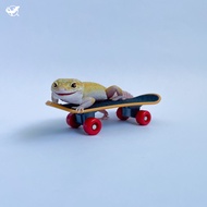 [Reptile Special Attack Team] 24 Hours Reptile Mini Skateboard|Reptile Landscaping|Gecko Landscaping