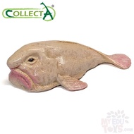 Blobfish - Collecta 80037 Ocean Sea Life Animal Action Figure / Figurine Collection Collectible Toy