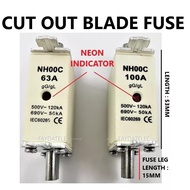 TNB TYPE - CUT OUT FUSE ONLY 32A /63A /100A /160A (With/Without Neon Indicator)