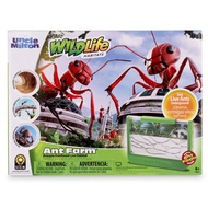 Uncle Milton Ant Farm Antopia Rainforest Ant Habitat - Observe Live Ants - STEM -Nature Learning Toy