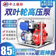 QM🔔Gasoline Pump Gasoline Pumper Agricultural Irrigation High-Power Gasoline Engine Pump Gasoline Engine Water Pump P1TR