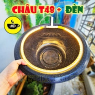 Combo Chậu Cá T48 nhựa kèm đồ trang trí phên tre thác máy bơm lọc nước tiểu cảnh dành cho bể cá hòn 