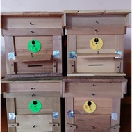 Thick Forest Cavity Bee Box + Wax + Pheromone Injection (Bee Lure Box)