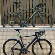 高質素單車貼紙 Birdy/Shimano/Campagnolo/SRAM/Specialized/Pinarello/Giant/Merida/Dahon/Bianchi/Canyon