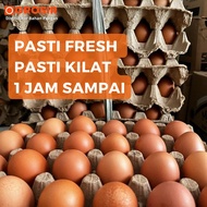 Telur Ayam Negeri 15Kg 1 Ikat Fresh Langsung Dari Kandang Telor 1 Peti