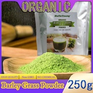 Barley grass official store Organic Barley Grass Powder original 250g  Gluten-Free Soy-Free Vegan &amp; Paleo – Daily Greens Booster