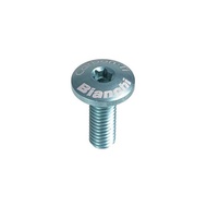 Bianchi CARBON SCREW TI TORX M5*14mm 1pc CELESTE C8655316/CK