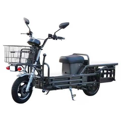 YTYIN New Home Cargo Electric Bike Shelf Meal Delivery Electric Cargo Two Wheel Electric Cargo Bike