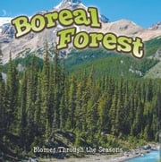 Seasons Of The Boreal Forest Biome Shirley Duke
