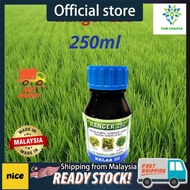 Ranger 250ml Racun Pokok Matikan Pokok Besar Anak Kayu Tree Killing (Sama Garlon Plantek Tri Ester K