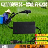 Agricultural Lithium Battery 12v Electric Sprayer Charger Smart 12V8AH12AH20AH Battery Three-Hole Un