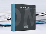 【現代樂器】全新奧地利DOMINANT PRO DP100 小提琴套弦 小提琴弦 全琴 4/4款