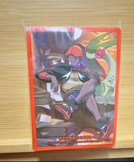 *全新* PTCG 劍盾 奇巴納 キバナ 官品 遊戲卡套