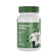 Rhodiola Capsules Overseas Support Energy Vitamin Source Factory Energy Supplement