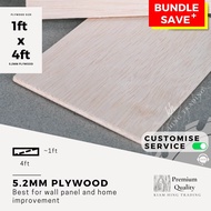 5.2mm Plywood (1ft x 4ft) DIY board sheet | timber panel wood | plywood | Papan Perabot | Papan kayu