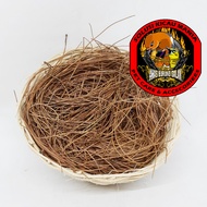 SERAT CEMARA Daun Pinus Kering Sarang Burung Tempat Bertelur Telur Burung Lovebird Kenari Parkit Mur