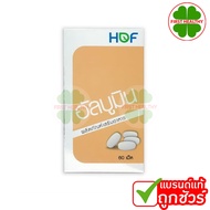 HOF Albumin Egg White Tablets Protein (1 Bottle 60 Tablets)