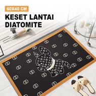 Cute Patterned Diatomite Doormat 60x40Cm Bathroom 100% Original Anti-Slip DD-32A