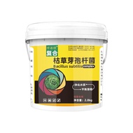 Bacillus Subtilis Strain Powder Special for Aquaculture Original Powder Fish Pond Fertilizer Water S