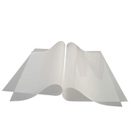 Qualicom Kualiti terbaik FILEM PET DTF A3 A4 Untuk Pencetak Dirent untuk Epson L1800 L800 L805 DX5 D