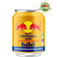 Red Bull Thai 250ml by SS Daily Mart