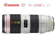 彩色鳥 相機出租**鏡頭出租 Canon EF 70-200mm f2.8 IS II
