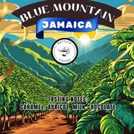 [Battuta Coffee] - Jamaica Blue Mountain - 100% Arabica