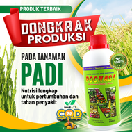 Pupuk padi sawah terbaikPupuk organik cair padiPupuk memperbanyak anakan padiobat buah padi